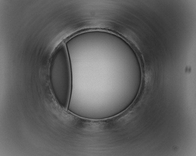 X0000110730781200906261518