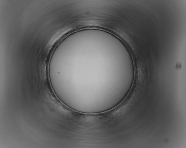 X0000110730782200906261518