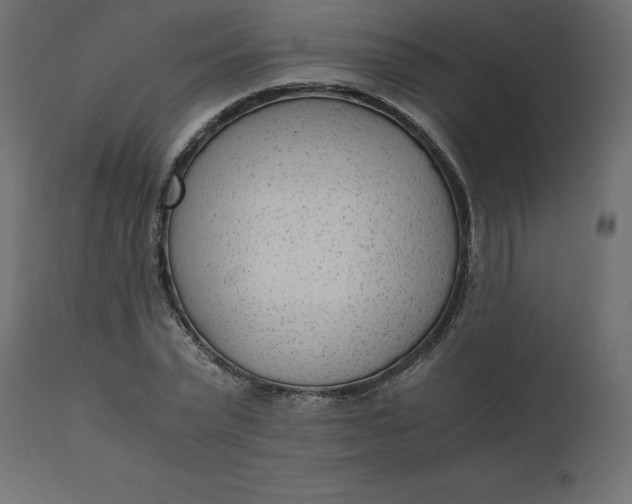 X0000110730783200906261518