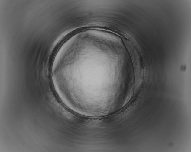 X0000110730784200906261518