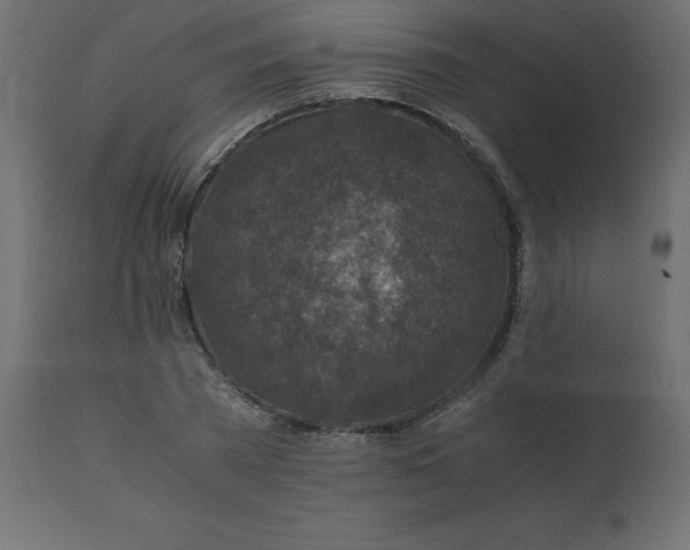 X0000110730785200906261518