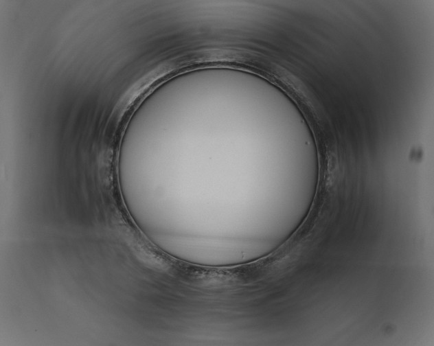 X0000110730786200906261518