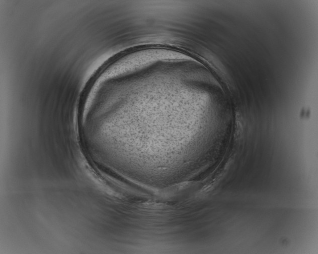 X0000110730788200906261518