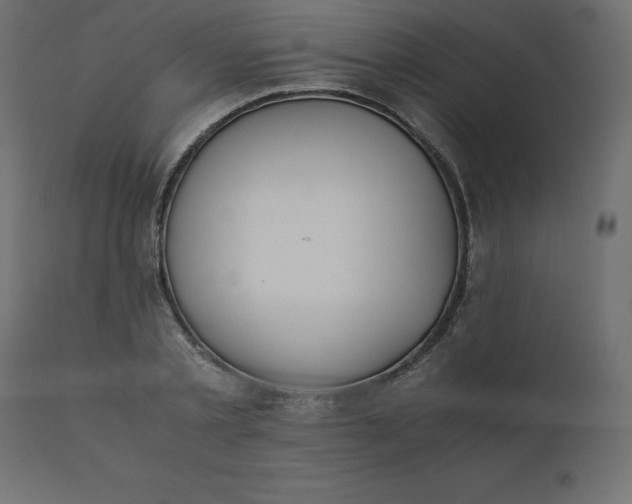 X0000110730789200906261518