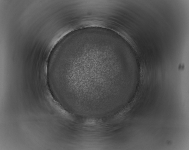 X0000110730790200906261518