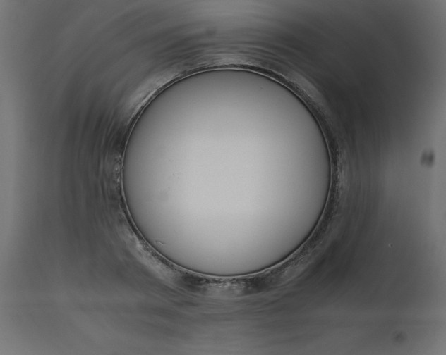 X0000110730793200906261518