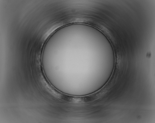 X0000110730794200906261518