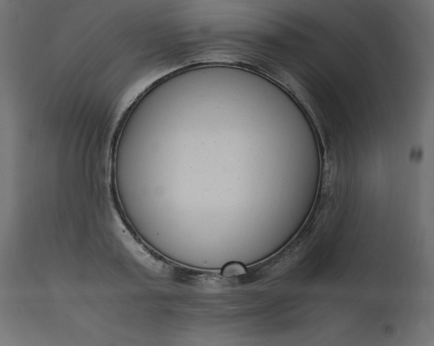 X0000110730795200906261518