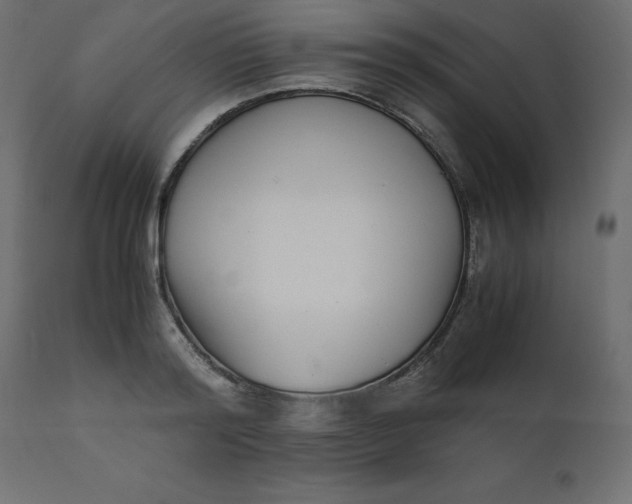 X0000110730796200906261518