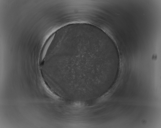 X0000110730797200906261518