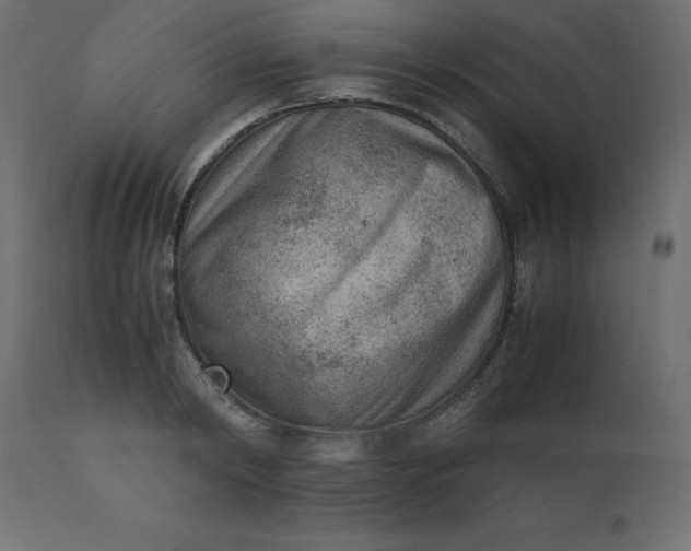 X0000110730798200906261518