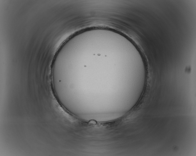 X0000110730799200906261518