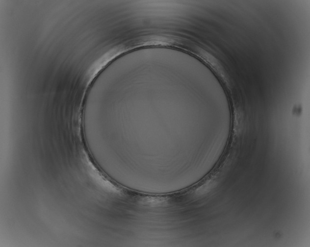 X0000110730802200906261518