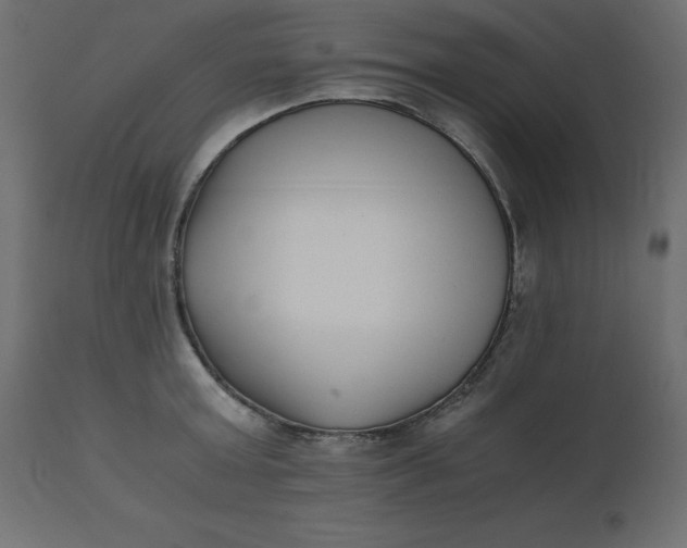 X0000110730803200906261518