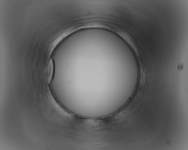 X0000110730805200906261518