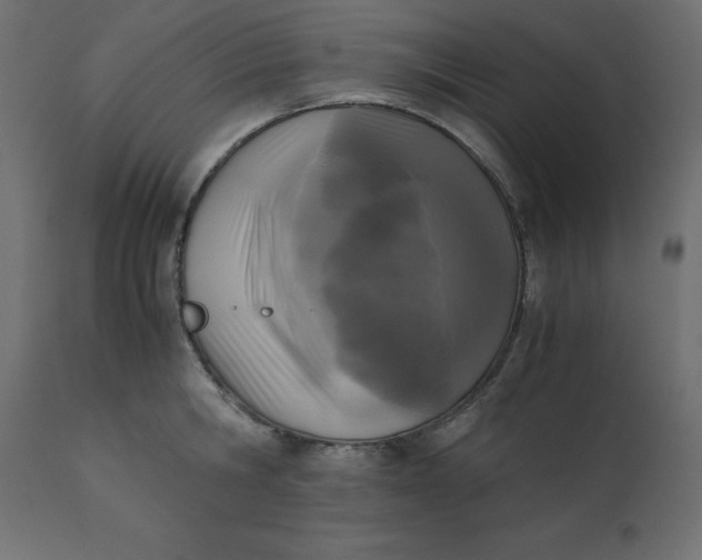 X0000110730806200906261518