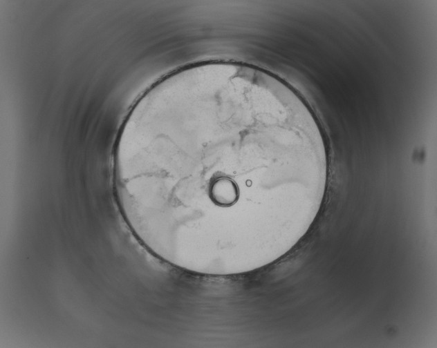 X0000110730807200906261518