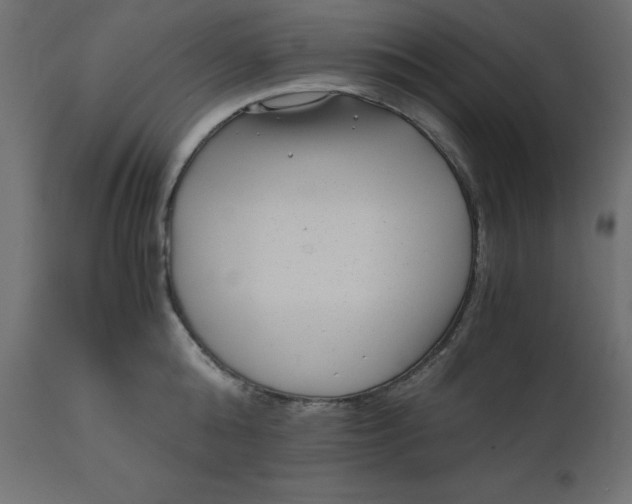 X0000110730808200906261518