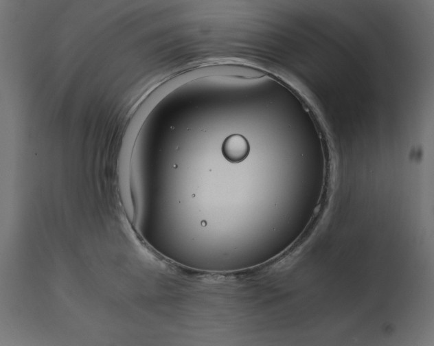 X0000110730809200906261518