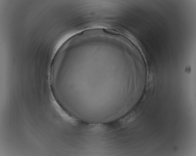 X0000110730811200906261518