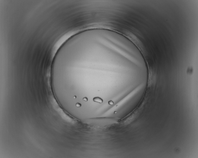 X0000110730812200906261518