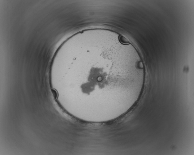 X0000110730813200906261518