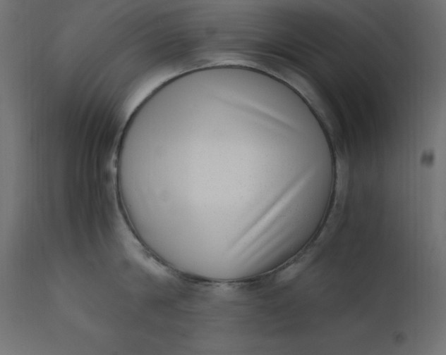 X0000110730814200906261518