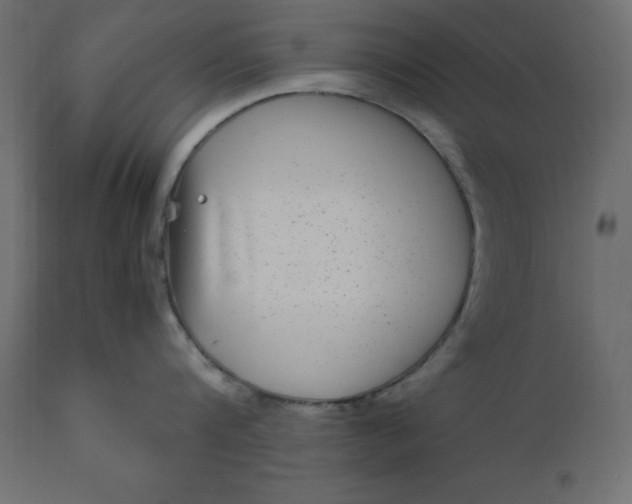 X0000110730816200906261517