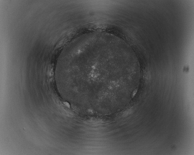 X0000110730818200906261517