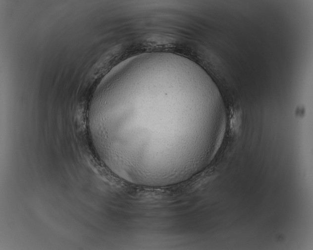 X0000110730819200906261517