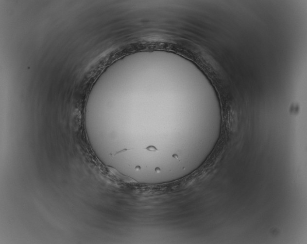 X0000110730821200906261517