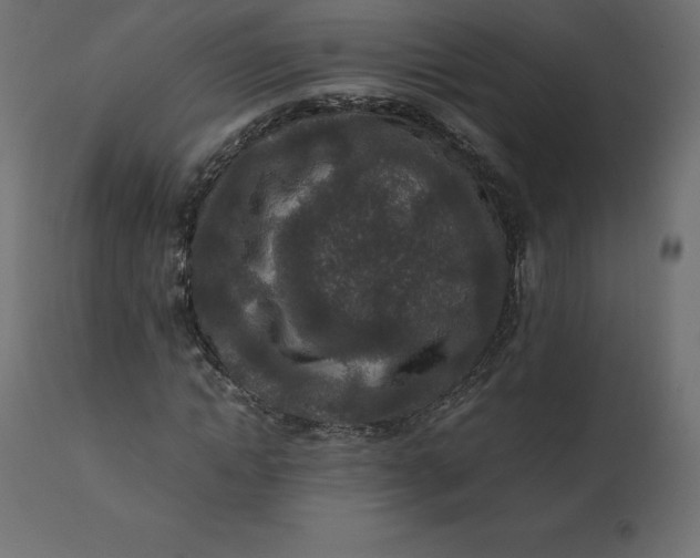 X0000110730822200906261517