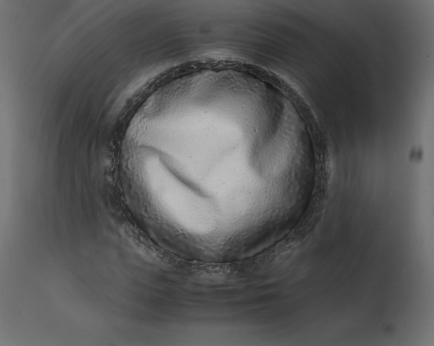 X0000110730823200906261517