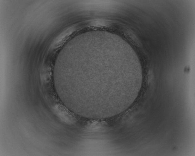 X0000110730824200906261517