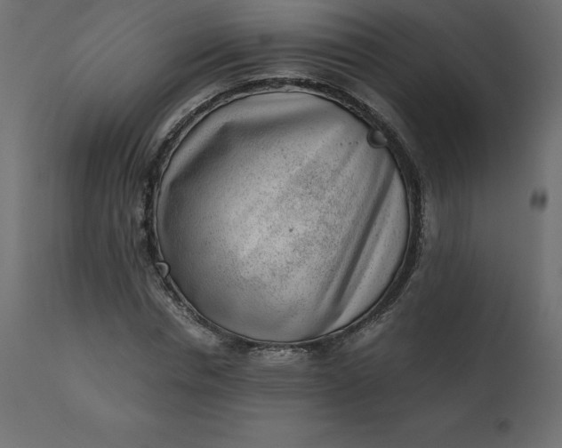 X0000110730826200906261517