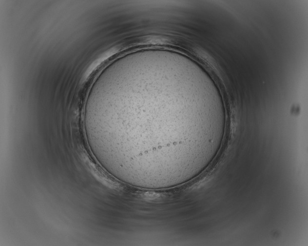 X0000110730827200906261517