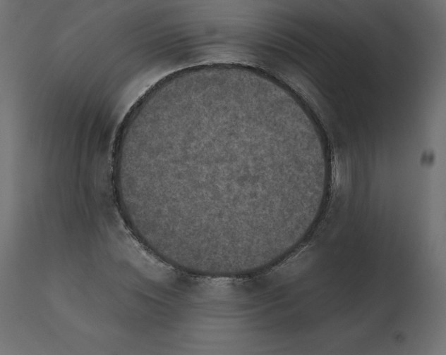 X0000110730828200906261517