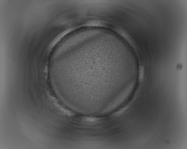 X0000110730829200906261517