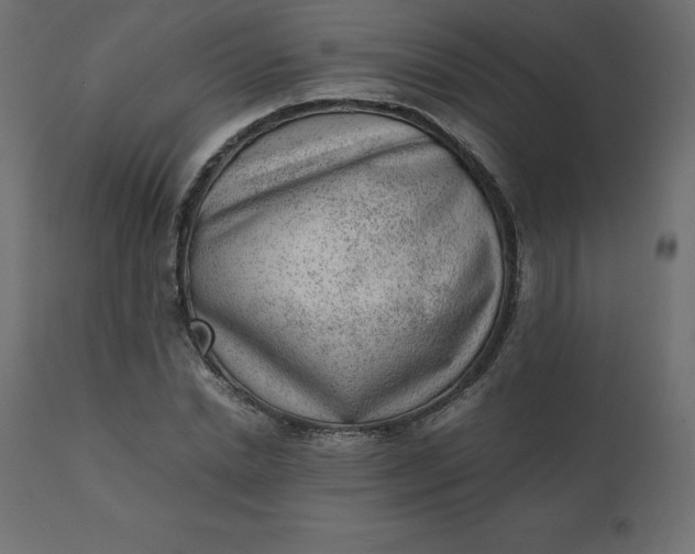 X0000110730830200906261517