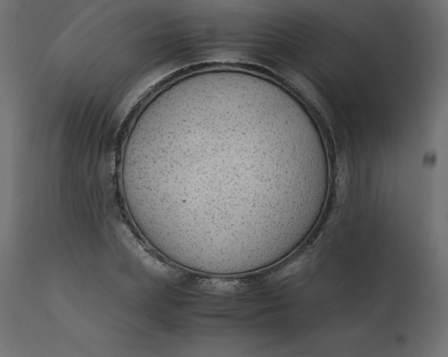 X0000110730831200906261517