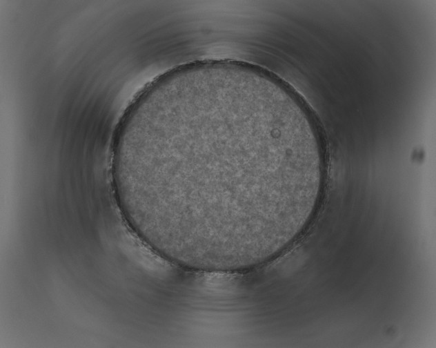 X0000110730832200906261517