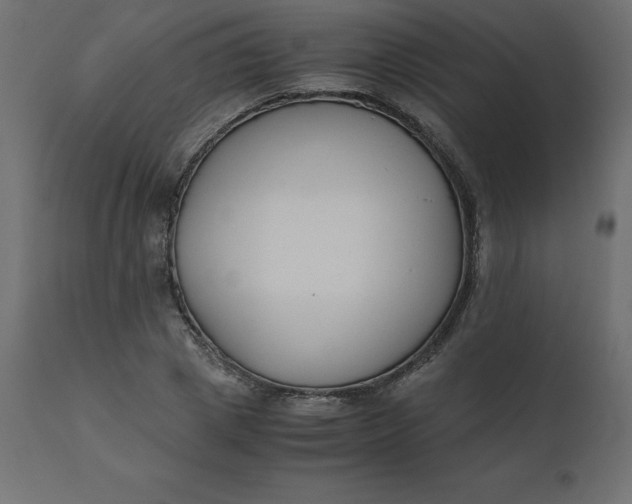 X0000110730833200906261517