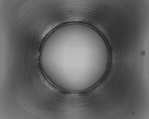 X0000110730834200906261517