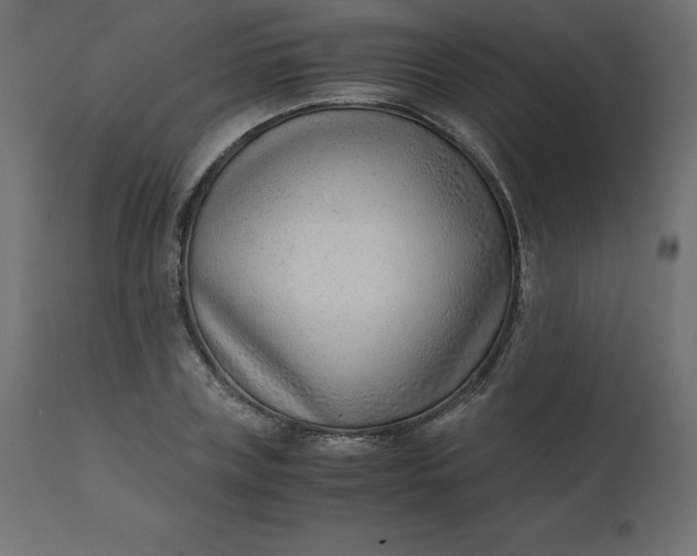 X0000110730835200906261517