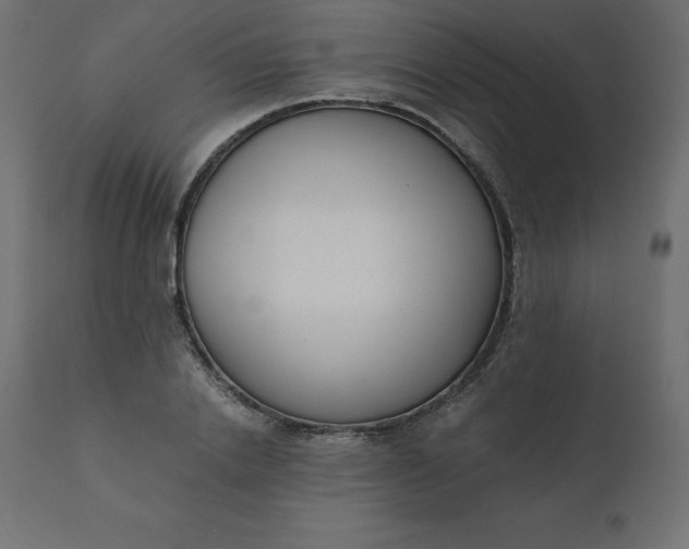 X0000110730838200906261517