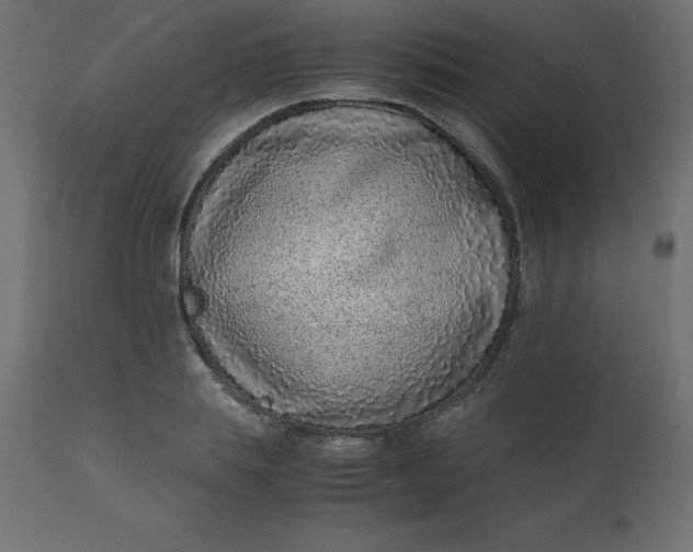 X0000110730839200906261517