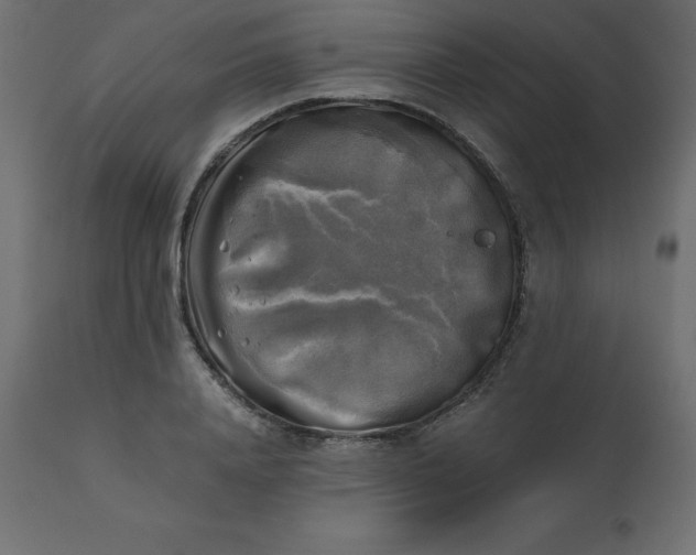 X0000110730840200906261517