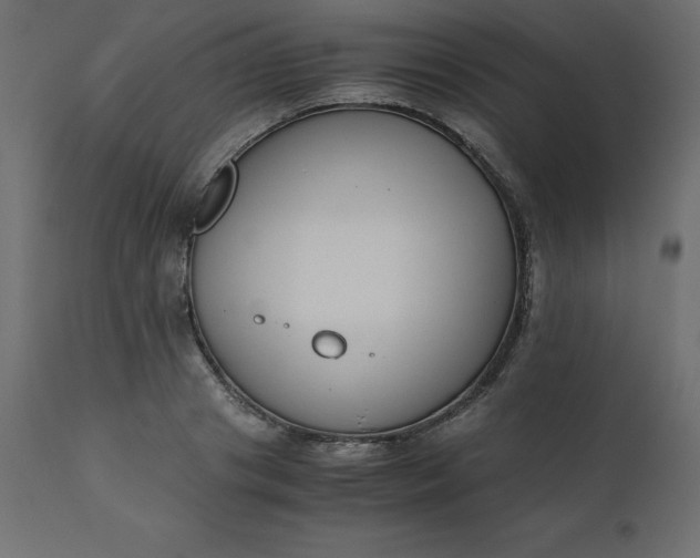 X0000110730841200906261517