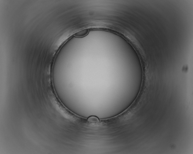 X0000110730842200906261517