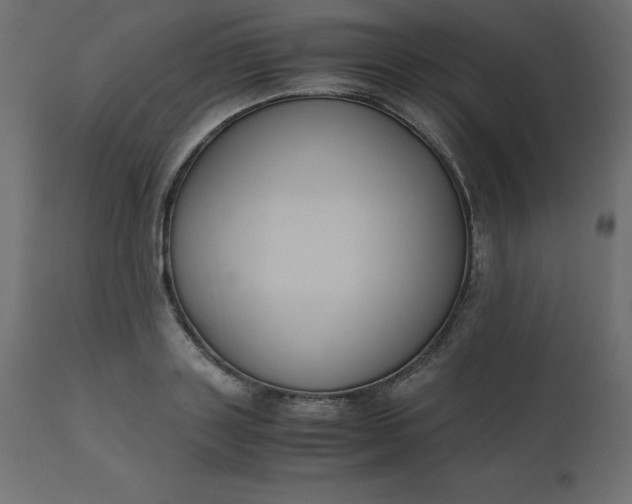 X0000110730843200906261517